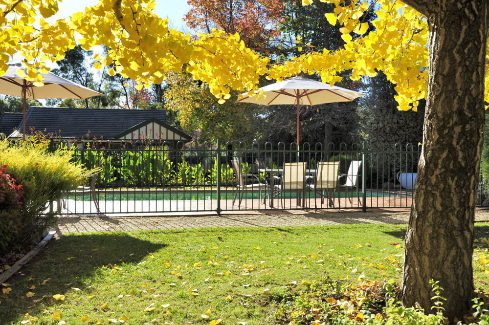 The Birch House - Silver Birches Accommodation 布赖特 外观 照片