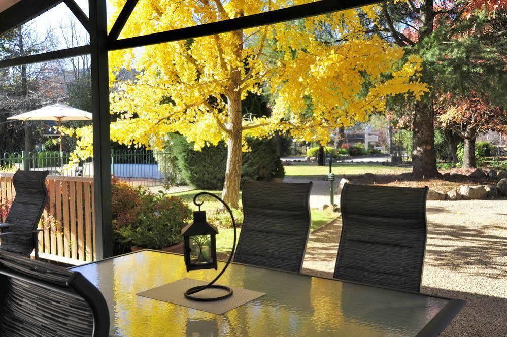 The Birch House - Silver Birches Accommodation 布赖特 外观 照片