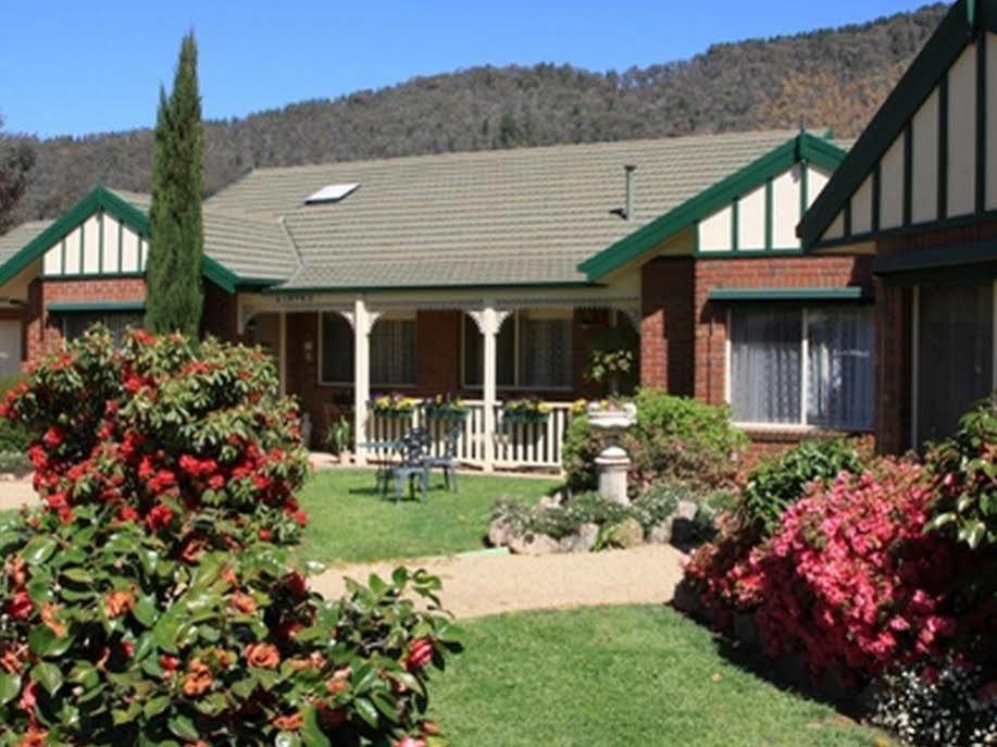 The Birch House - Silver Birches Accommodation 布赖特 外观 照片