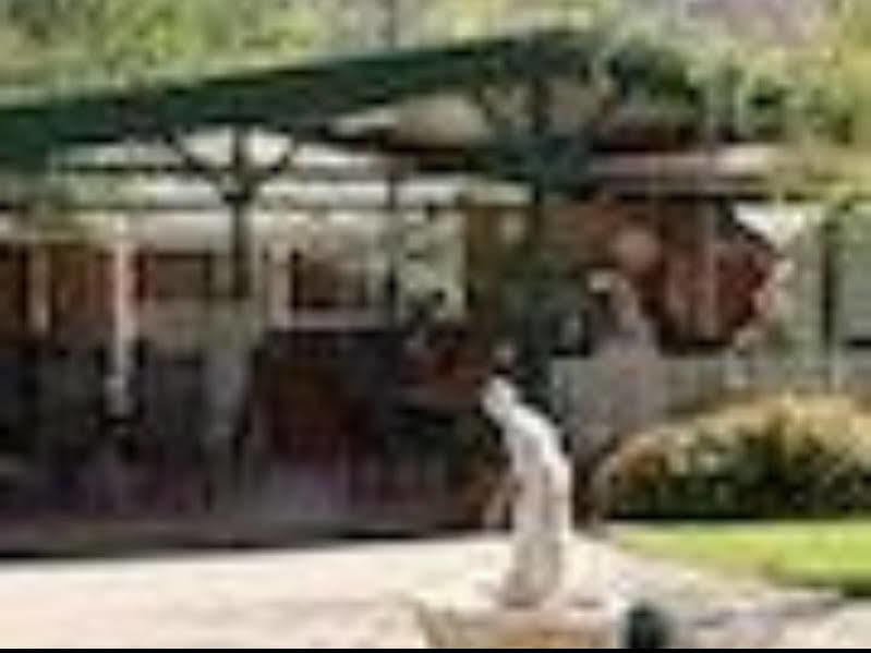 The Birch House - Silver Birches Accommodation 布赖特 外观 照片