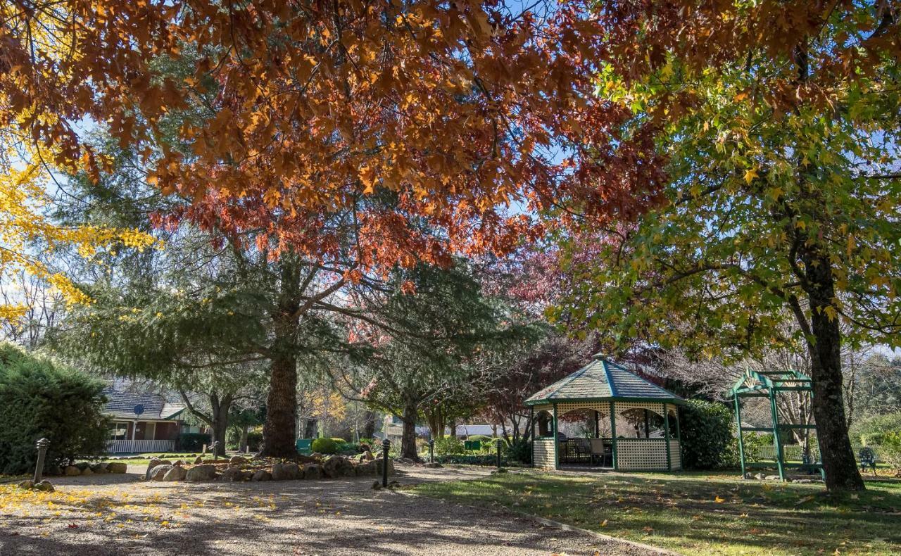 The Birch House - Silver Birches Accommodation 布赖特 外观 照片