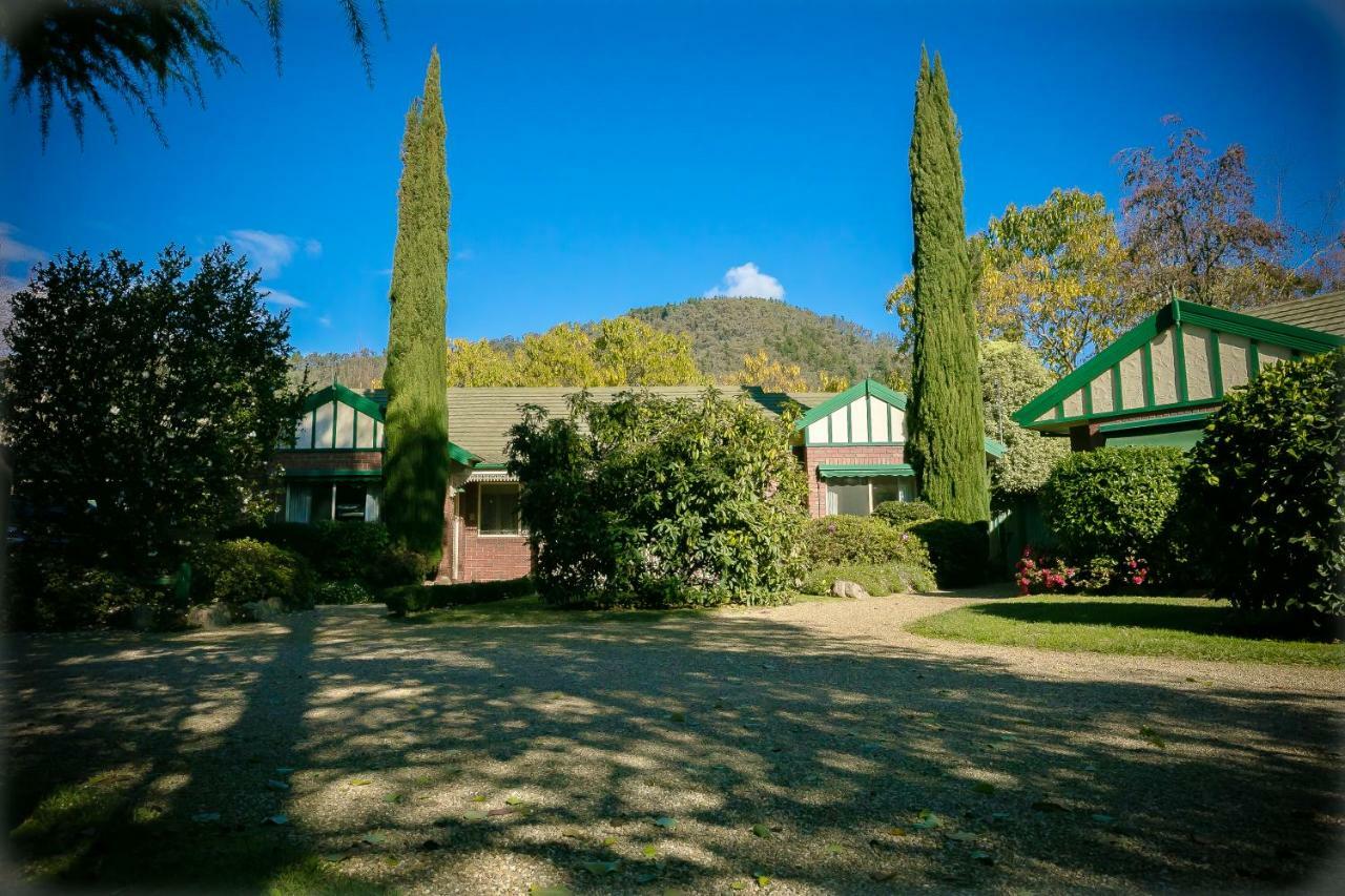 The Birch House - Silver Birches Accommodation 布赖特 外观 照片