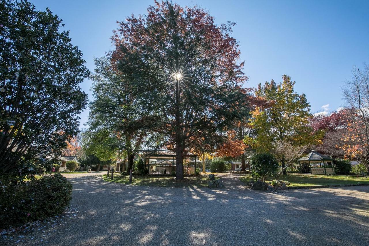 The Birch House - Silver Birches Accommodation 布赖特 外观 照片