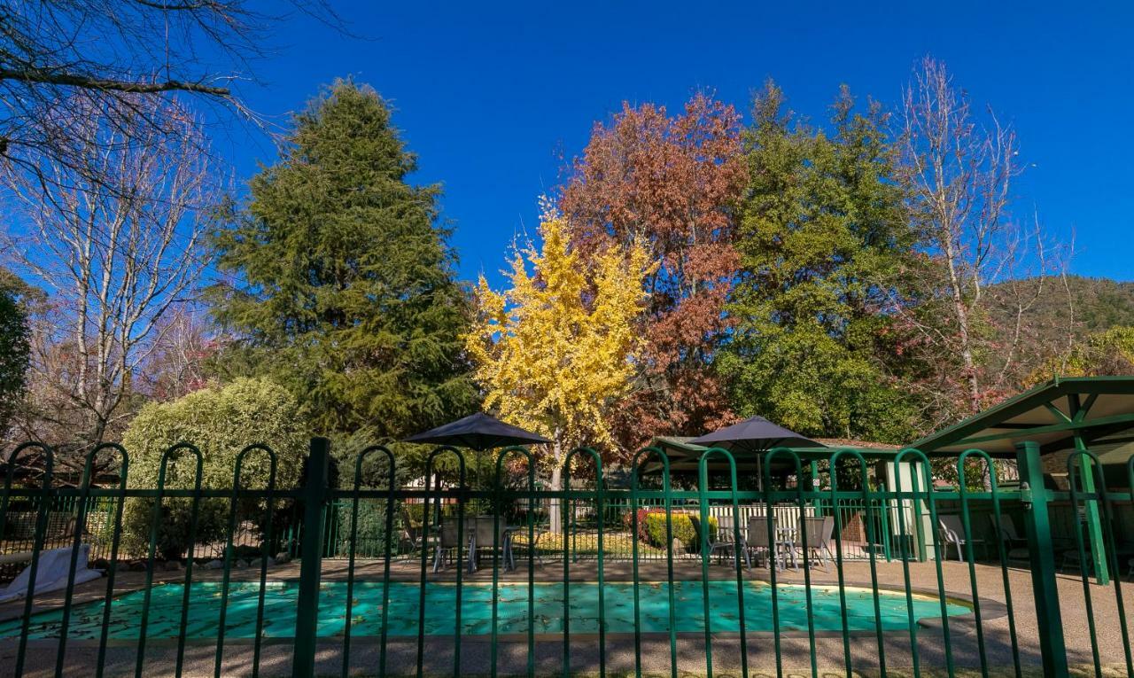 The Birch House - Silver Birches Accommodation 布赖特 外观 照片